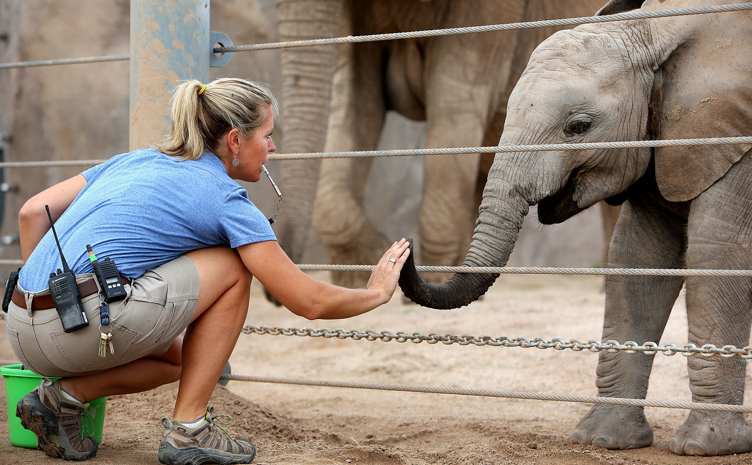 Nandi turns one